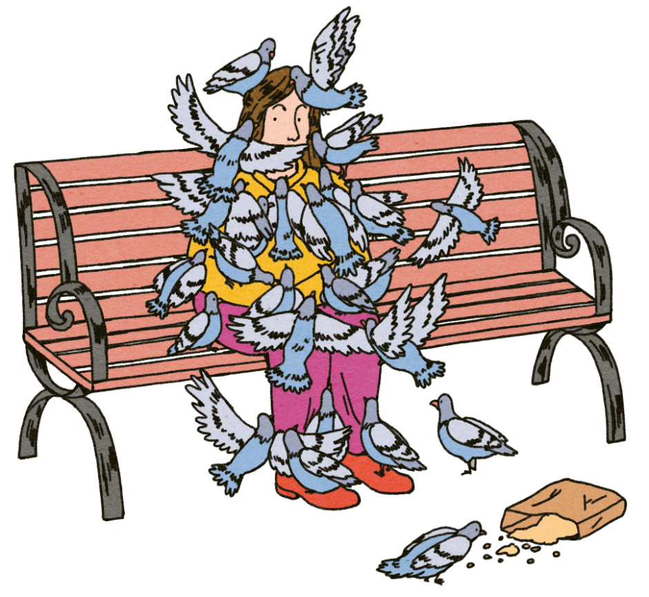 Dar de comer a las palomas no siempre está permitido
