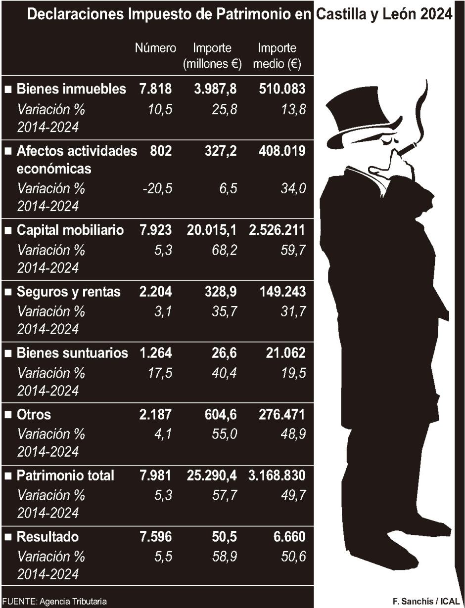 Declaraciones Impuesto de Patrimonio en Castilla y León 2024