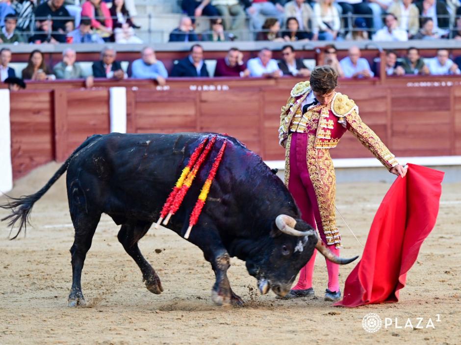 Álvaro Serrano toreando
