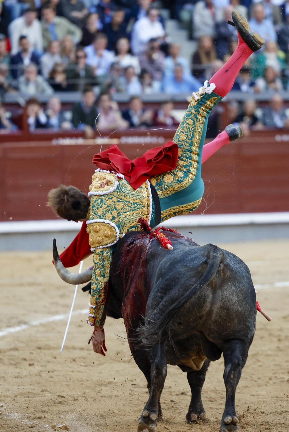 Ese mismo toro ha volteado a Román