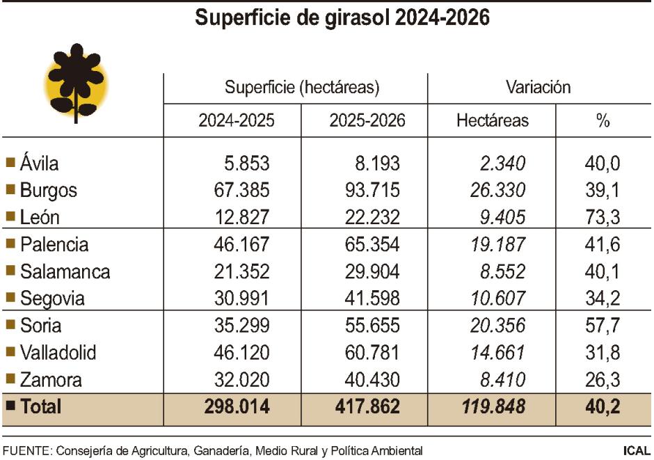 Superficie de girasol 2024-2026