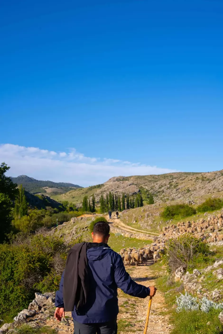 Vida Trashumante, experiencia con pastores en Jaén