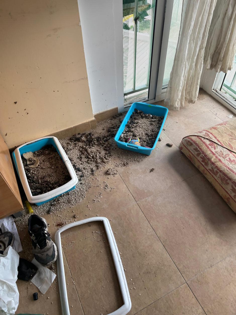Heces de gato en el salón de la vivienda okupada