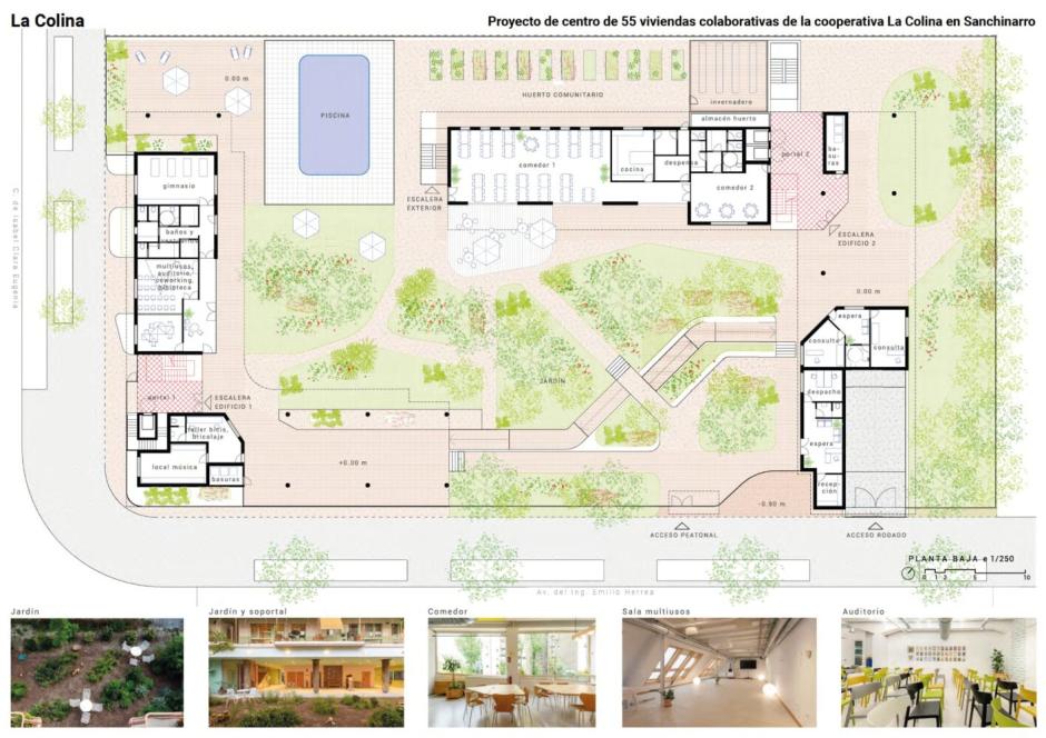 Plano de las viviendas cohousing senior en Hortaleza