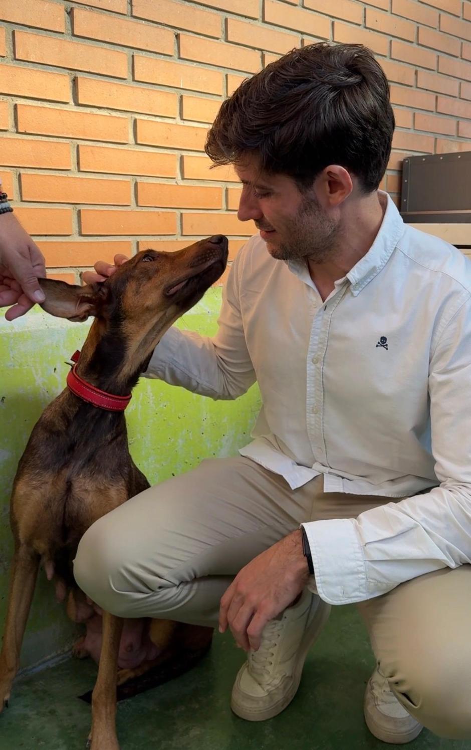 Imagen de Juan Carlos Caballero en el centro municipal de acogida de animales de Valencia