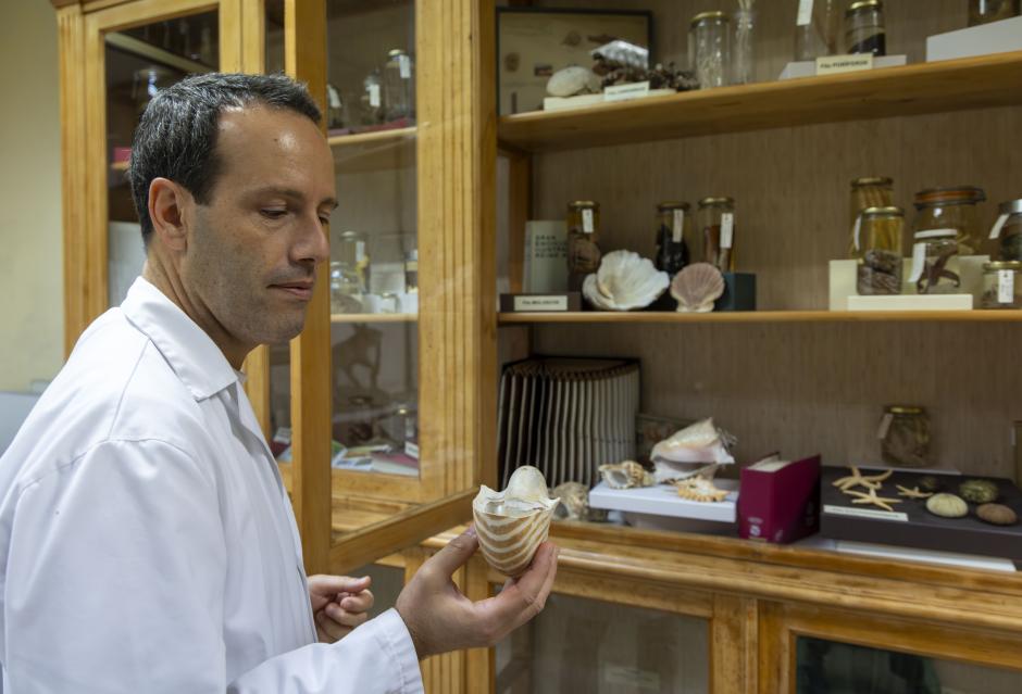 Museo de historia natural del IES Fray Luis de León en Salamanca