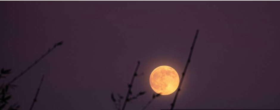La 'Luna del Cazador', vista desde la India