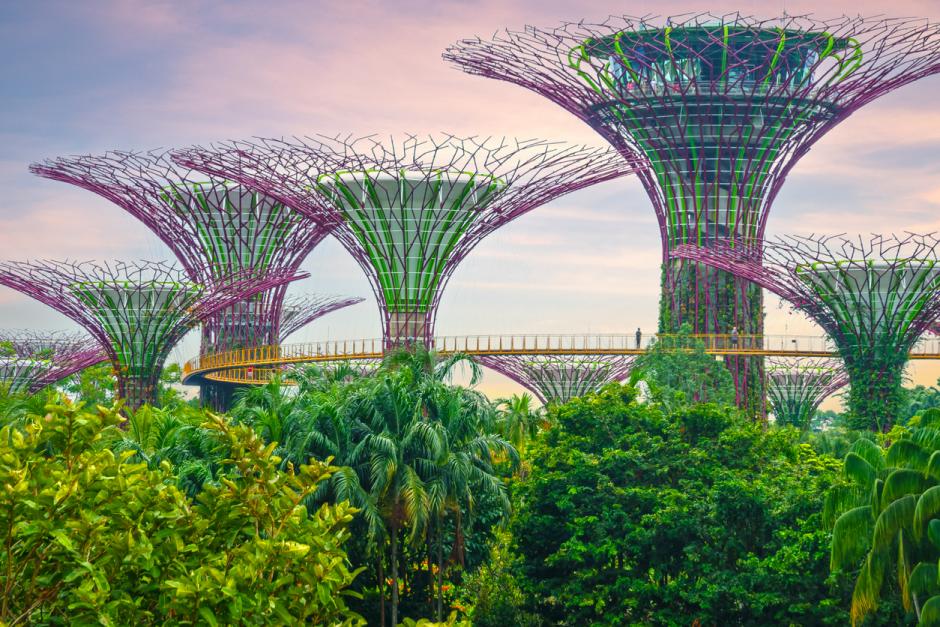 Los famosos "superárboles" de Singapur