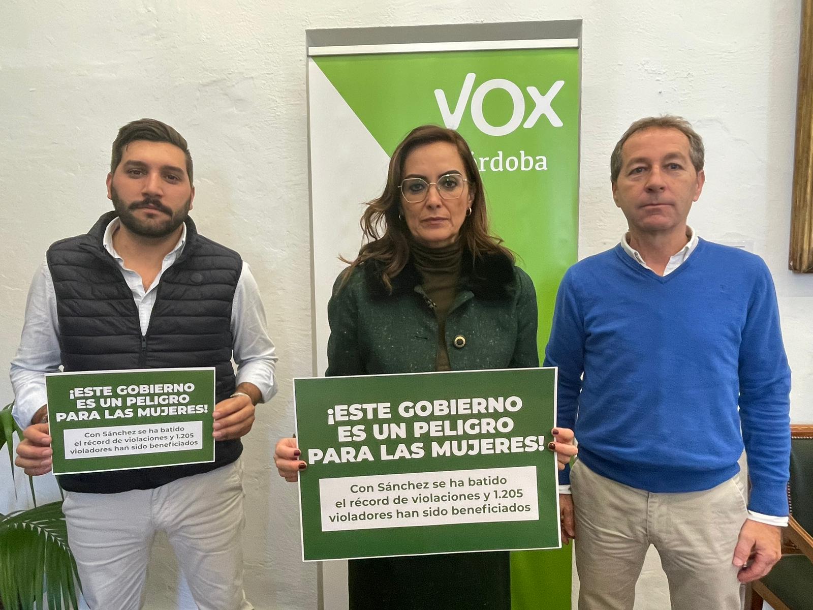 Vox presenta 13 medidas en Diputación contra la violencia de género