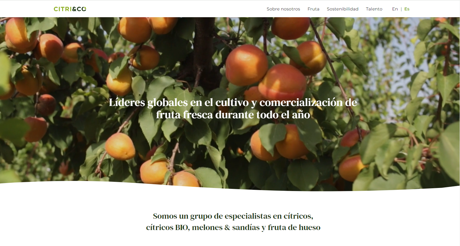 Citry&Co, líder español en cítricos, sale a la venta por 1.000 millones