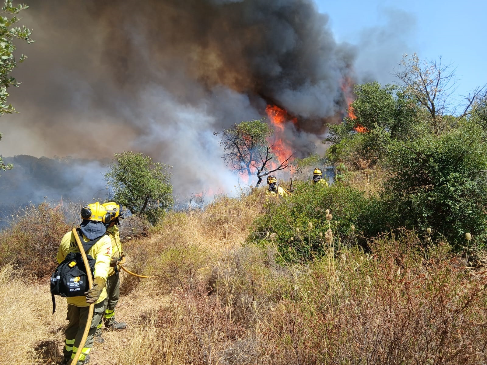 alerta-por-fuego-las-cinco-provincias-andaluzas-con-ndice-de