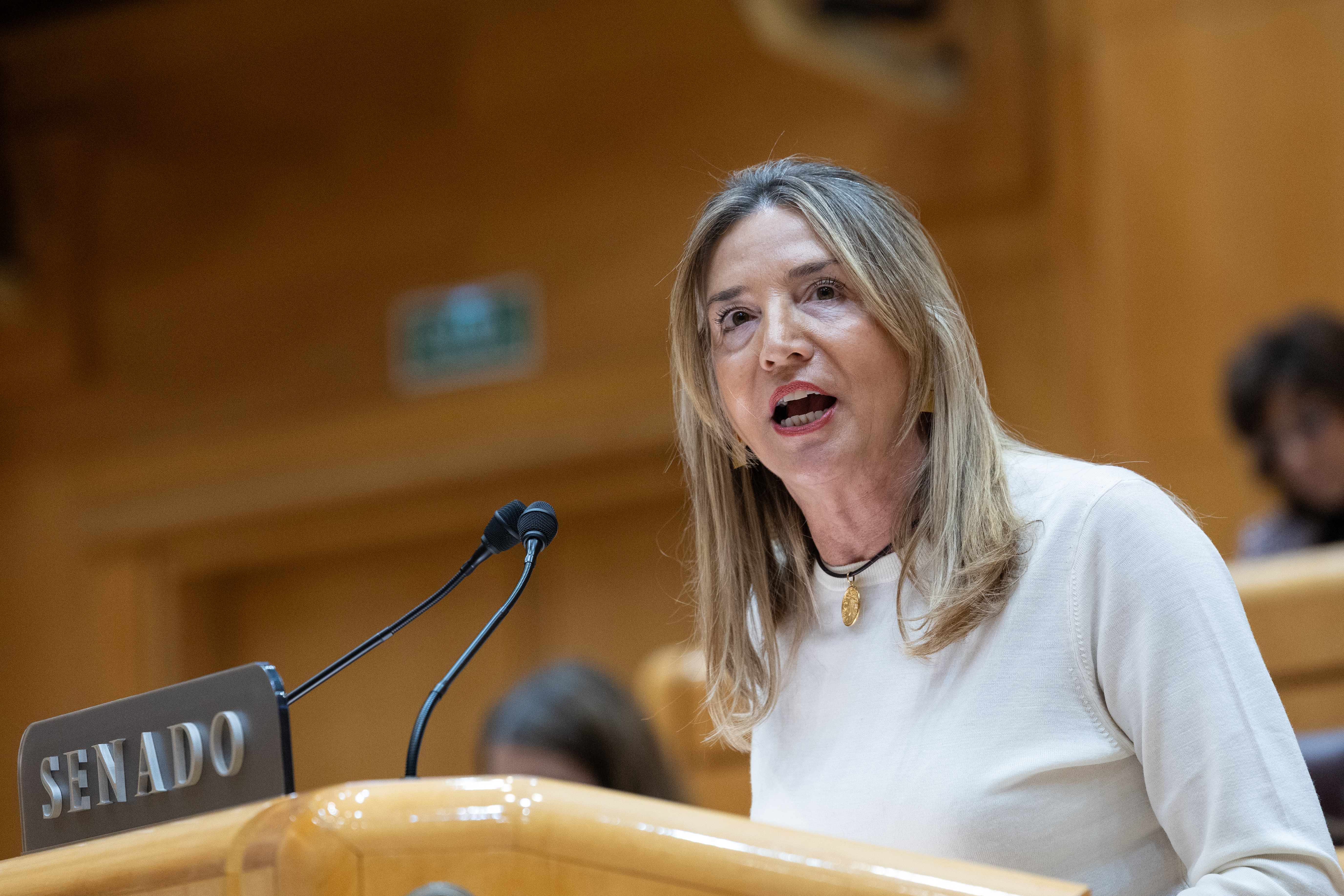 Primer pleno ordinario en el Senado del 2026, en directo