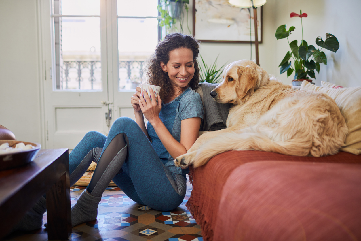 Owner sharing a relaxed moment with a golden retriever in a warm, bright living room