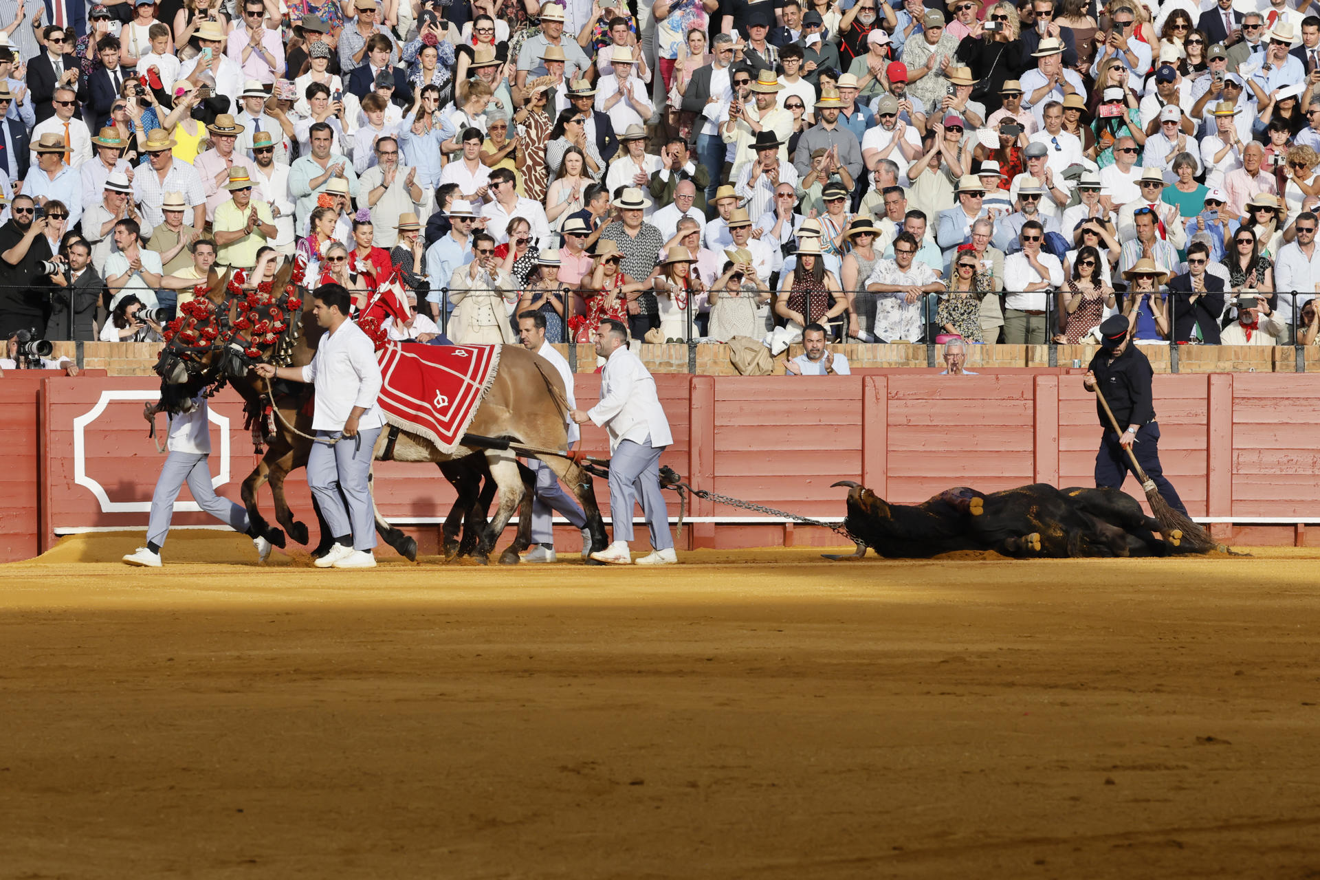 Puerta del Príncipe a David de Miranda y vuelta al ruedo a un toro de ...