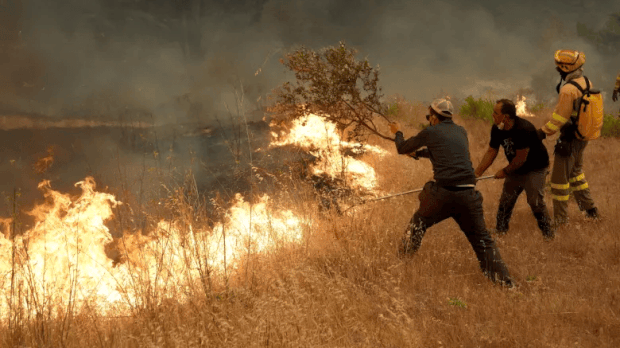GIF incendios 26 de julio