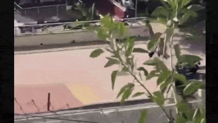 Gif Ceuta
